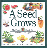 A Seed Grows