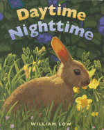 Daytime Nighttime