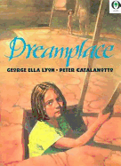 Dreamplace