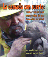 La camada con suerte: Cachorros de lobo rescatados de un incendio Forestal