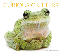 Curious Critters