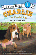 Stuck in the Mud