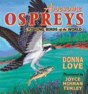 Awesome Ospreys