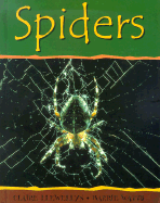 Spiders