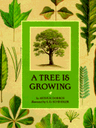 A Tree is Growing