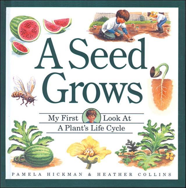 A Seed Grows