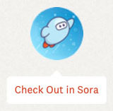 Sora Disovery