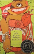 Gabi, a Girl in Pieces